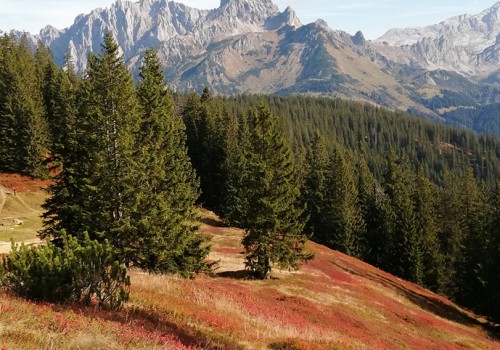 Wandern im Salzburger Land